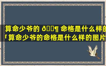算命少爷的 🐶 命格是什么样的「算命少爷的命格是什么样的图片」